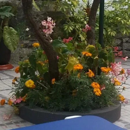 Maravilhas House * פונשל